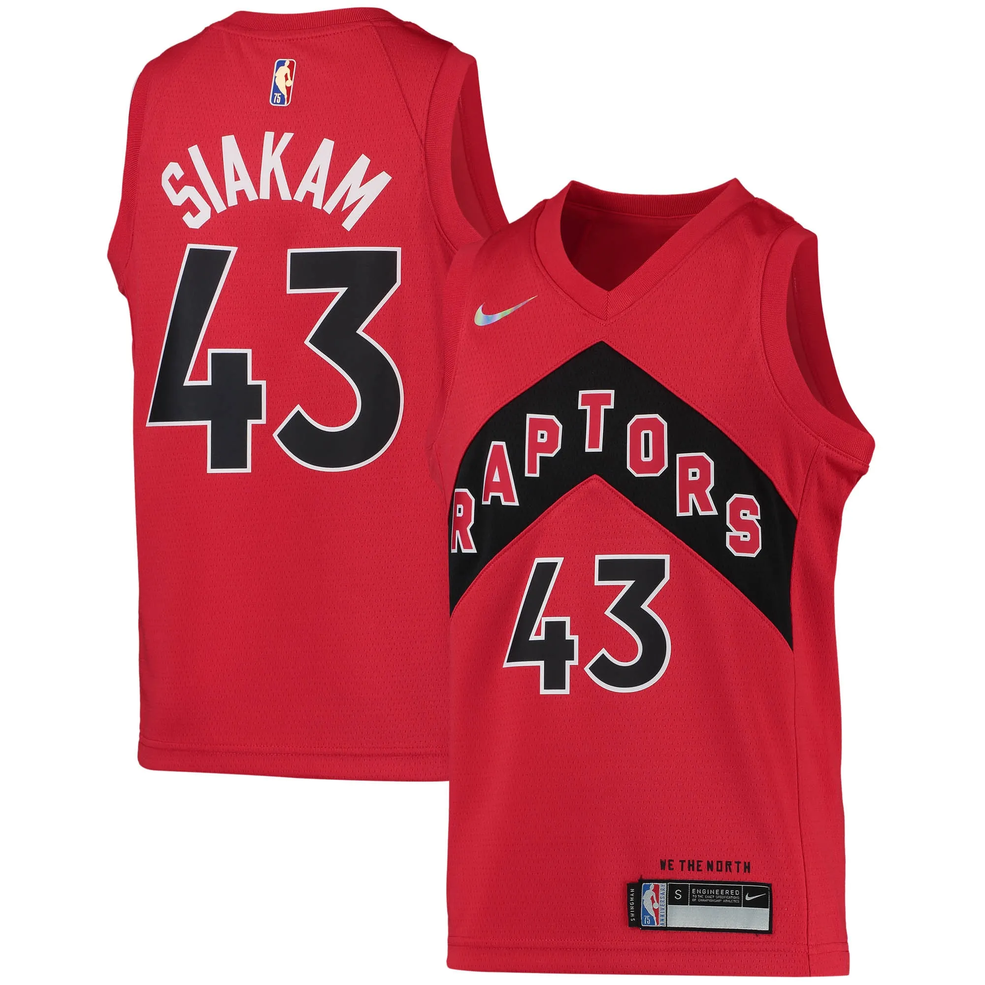Pascal Siakam Toronto Raptors Nike Youth 2021-22 Diamond Swingman Jersey - Icon Edition - Red